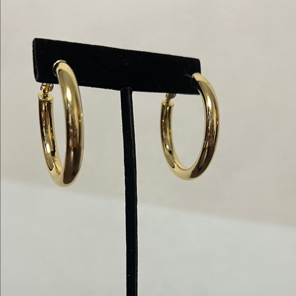 Elegant Gold Hoop Earrings - Picture 1 of 5